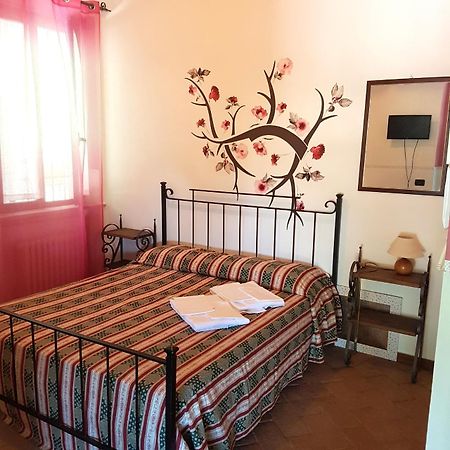 Societa Agricola F.Lli Angelucci Villa Cannara Buitenkant foto
