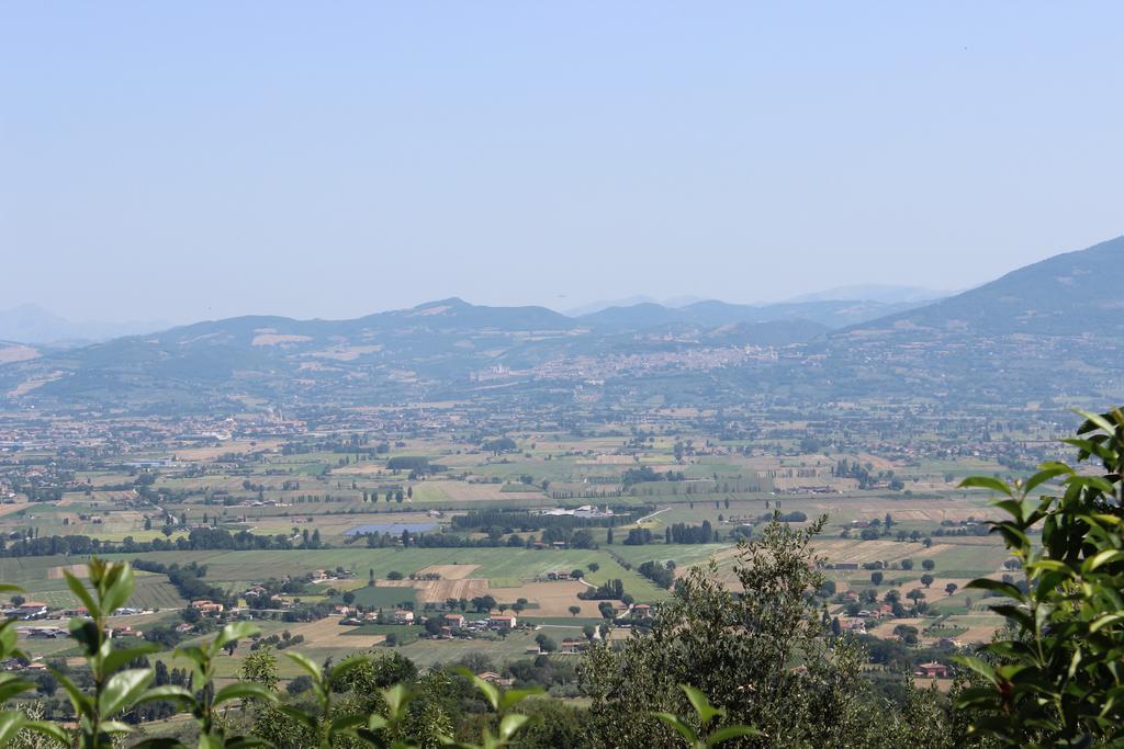 Societa Agricola F.Lli Angelucci Villa Cannara Buitenkant foto