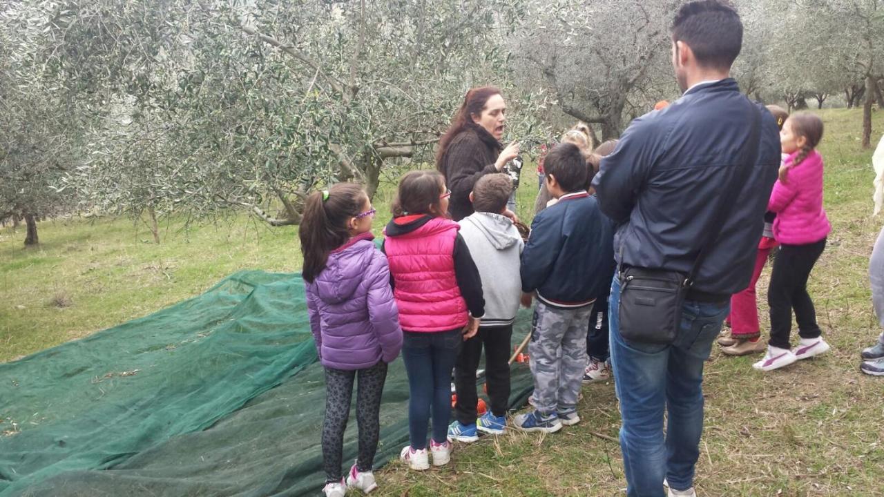 Societa Agricola F.Lli Angelucci Villa Cannara Buitenkant foto
