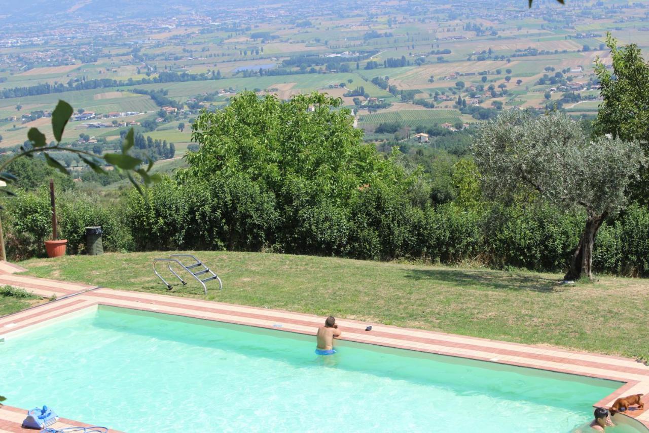 Societa Agricola F.Lli Angelucci Villa Cannara Buitenkant foto